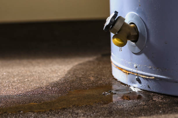 Best Water damage cleanup near me  in Kingston, OK