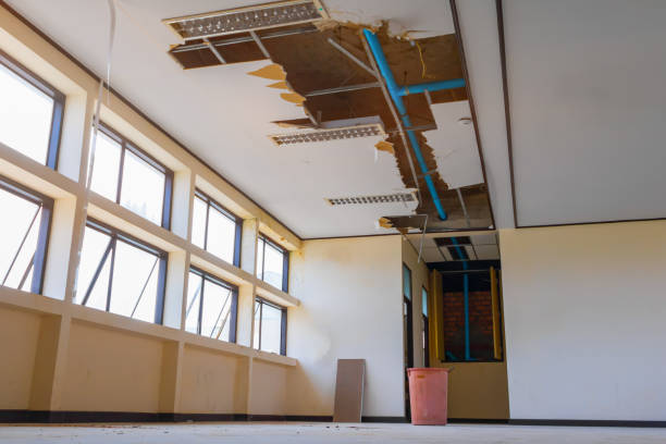 Best Local water damage restoration  in Kingston, OK