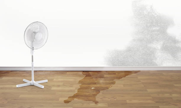 Best Carpet water damage restoration  in Kingston, OK