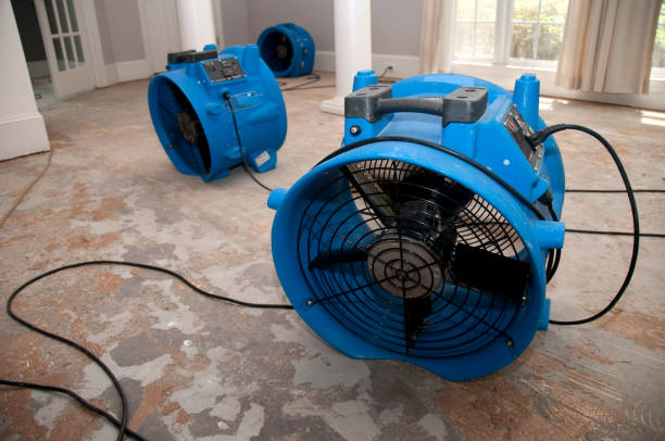 Best Flood damage cleanup  in Kingston, OK