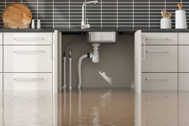 Best Mold removal after water damage  in Kingston, OK
