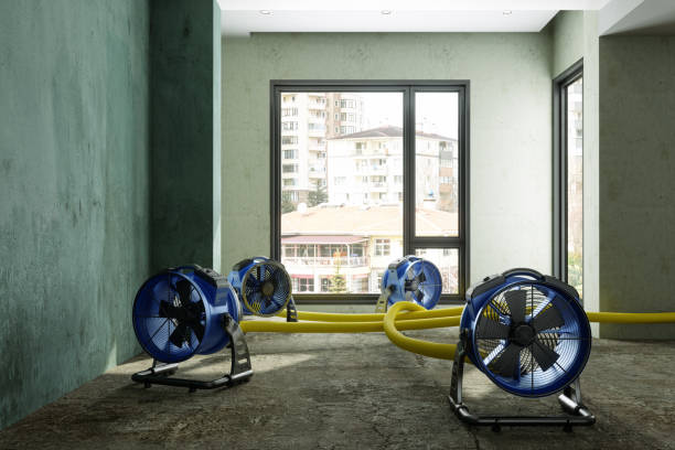 Best Water damage cleanup near me  in Kingston, OK